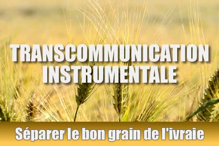 TCI le bon grain de l ivraie