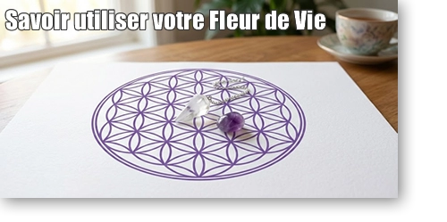 article fleur de vie