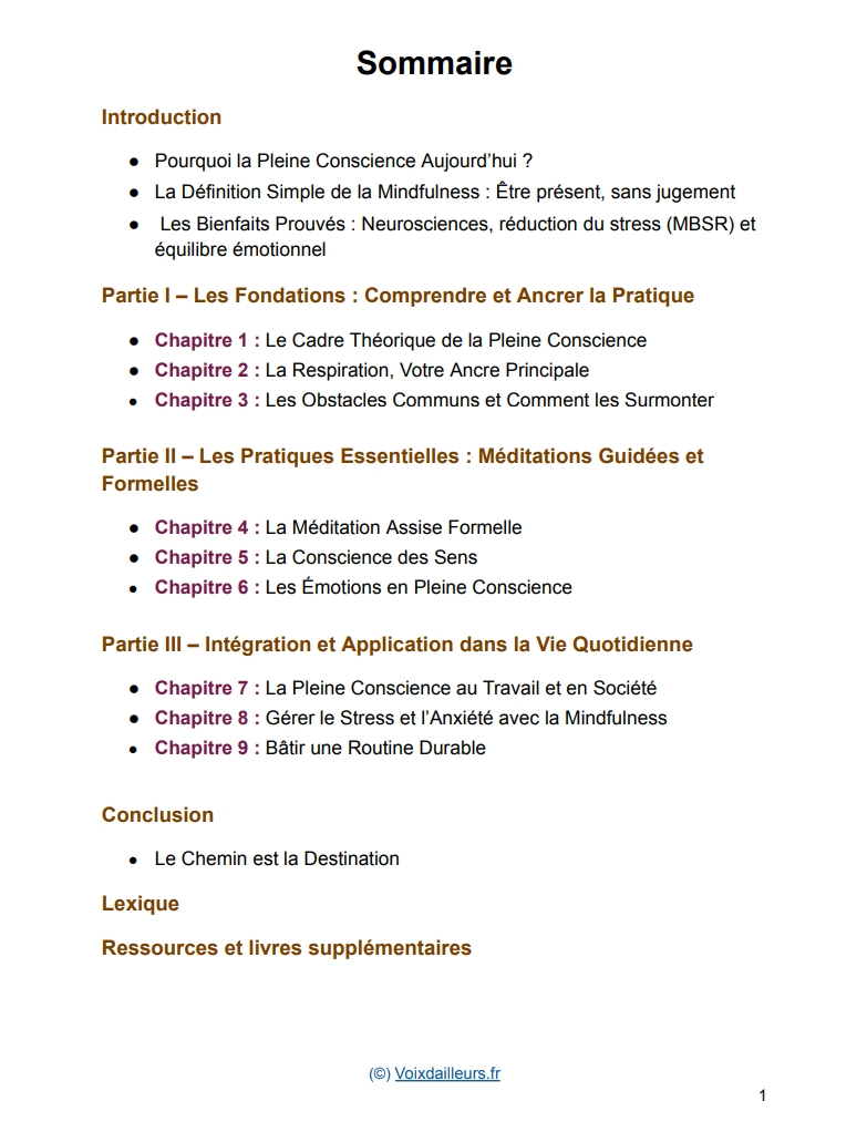 sommaire meditation pleine conscience