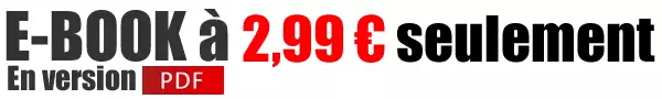 ebook à 5 euros seulement !