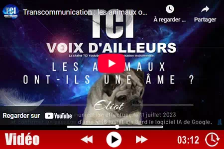 tci les animaux ont ils une âme